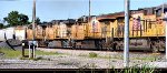 UP 7816